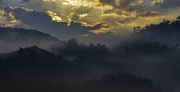 荒野