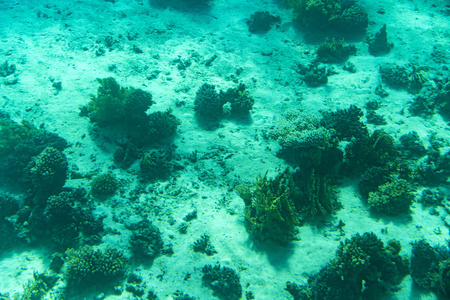 水肺 美丽的 在下面 假期 潜水员 风景 颜色 潜水 假日