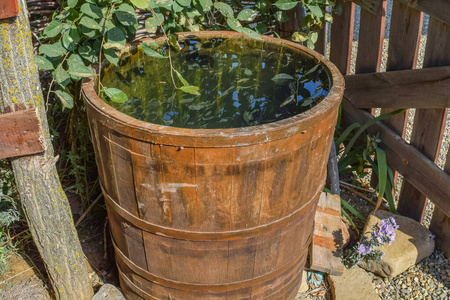 杂货桶装满水的木桶照片