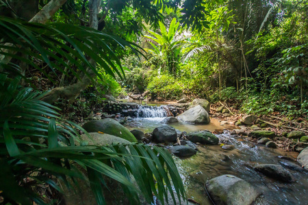 美丽的 地区 森林 地标 放松 瀑布 商业 风景 精彩的