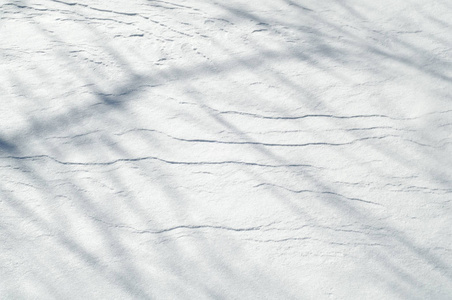 雪纹理