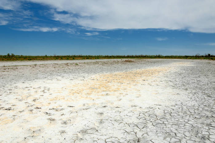 草原盐渍土盐中的盐草原草原ve