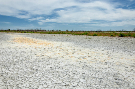 草原盐渍土图片