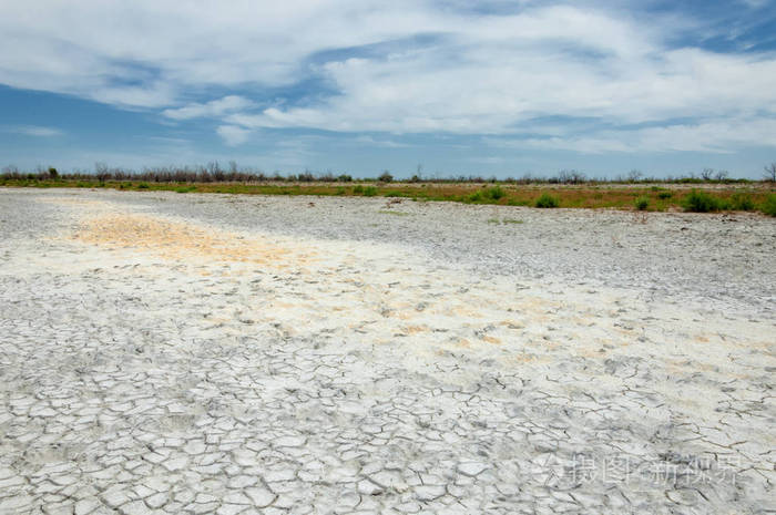 草原盐渍土盐中的盐草原草原ve