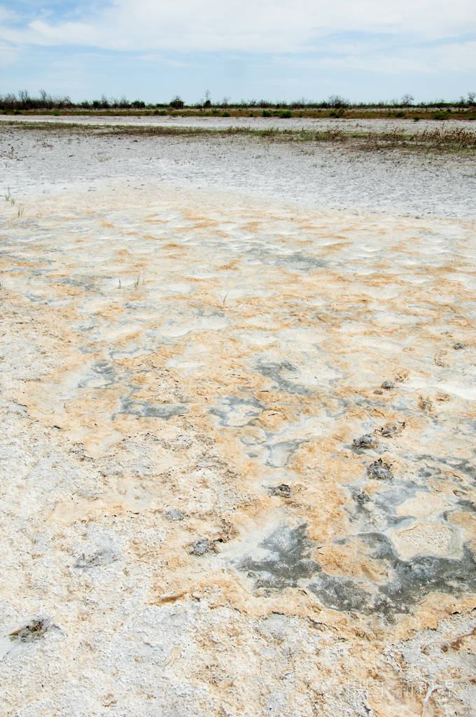 草原盐渍土盐中的盐草原草原ve