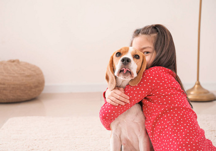 家里养着可爱的比格犬的亚洲小女孩