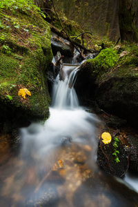 瀑布 流动 小溪 公园 流动的 落下 岩石 春天 自然 森林