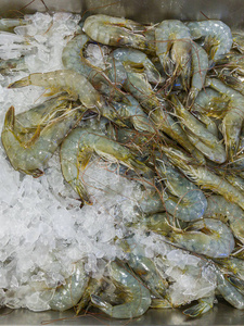 海鲜档出售的鲜虾