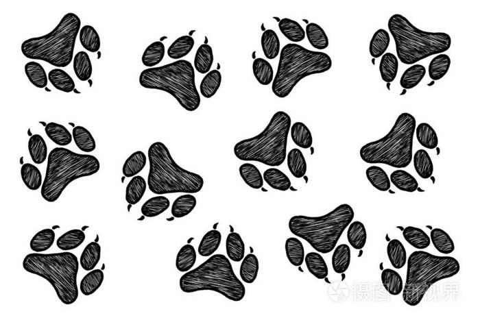 手绘动物足迹素描图形单色插图