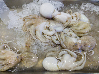 冰上海鲜市场出售的冷冻章鱼