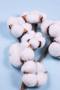 棉花柔软图片