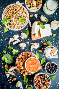 蛋白质的食物来源图片