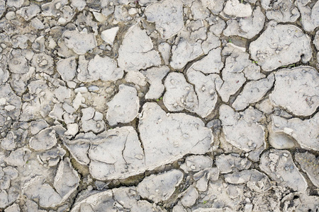 干燥的地面作为纹理或背景。