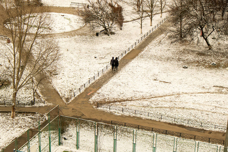 城市庭院小雪冬图片