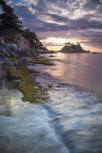 布莱恩斯 旅游业 场景 海岸 旅行 海滨 科斯塔 西班牙