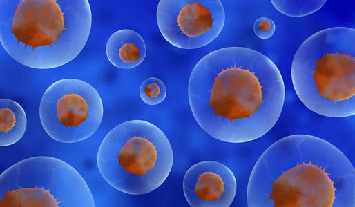 体细胞生活图片