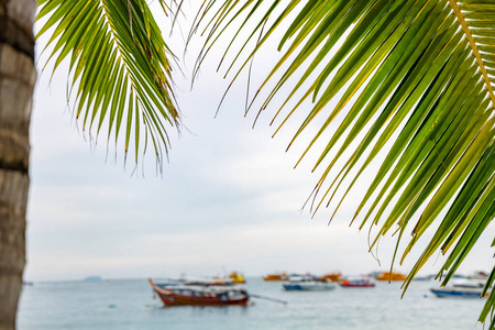 风景 美丽的 旅游业 波动 旅行 海滩 天堂 海洋 海湾