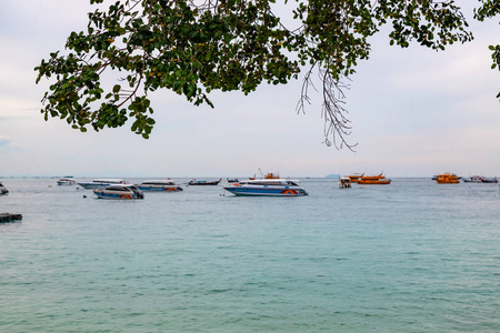 航海 发动机 生活 快艇 海景 海的 阴影 海洋 活动 游艇