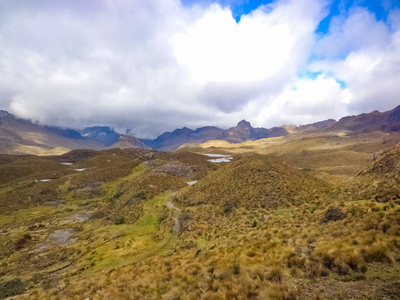 风景 小山 森林 旅行 天空 旅游业 岩石 公园 自然 美丽的