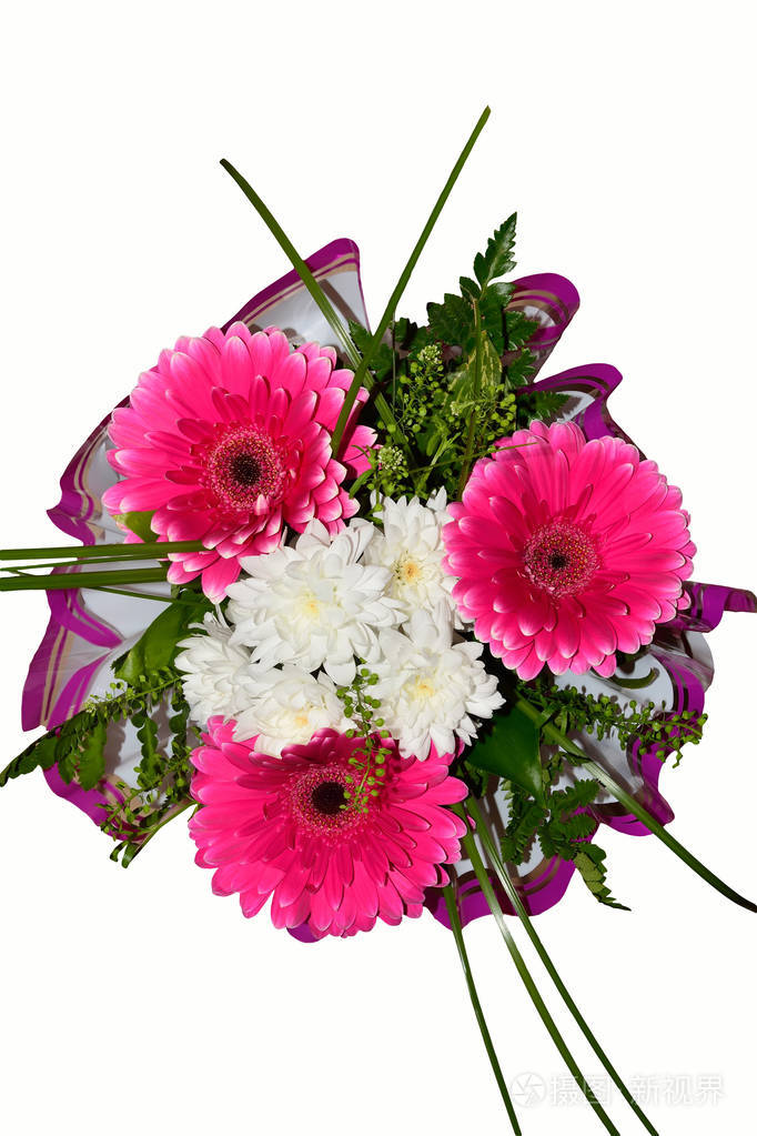 鲜艳多彩的红色非洲菊花束