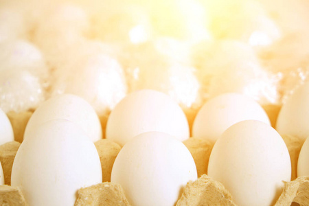 在明亮的阳光下，把白色的鸡蛋放在纸盘里。