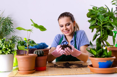 室内种植植物的年轻女园丁图片