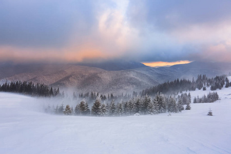 奇妙的日出照亮了山森林和地平线。冬天的早晨下雪。令人惊叹的橙色云天空。墙纸背景。地点欧洲乌克兰喀尔巴阡山广场。