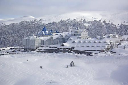 城市景观 森林 松木 公园 滑雪 旅游业 房子 旅行 风景