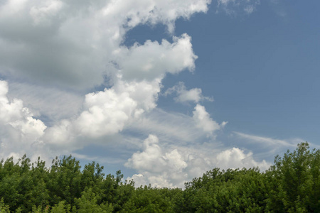 夏天 天空 美丽的 风景 植物 季节 自然 环境 颜色 森林