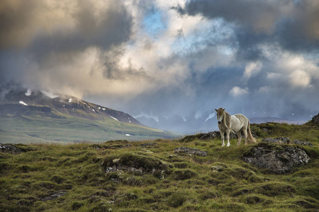 乡村 旅行 目的地 丘陵 旅游业 冰岛 美丽的 冒险 假期