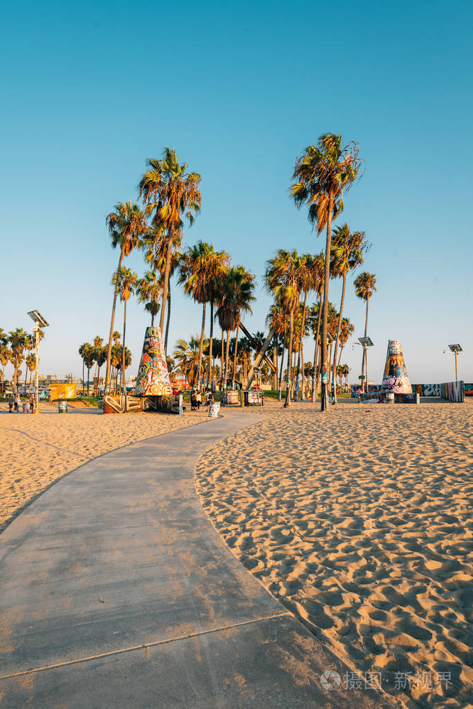 海滩上的棕榈树在威尼斯海滩洛杉矶加利福尼亚
