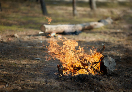 篝火 旅行 营地 木材 危险 燃烧 森林 火焰 木柴 自然