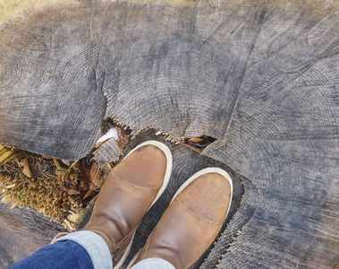 活动 自然 旅行 发现 树桩 牛仔裤 森林 熔化 纹理 靴子