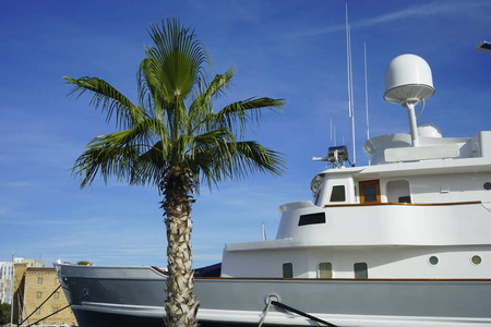 海湾 财富 巡航 帆船 佛罗里达州 美丽的 棕榈 乐趣 巴塞罗那