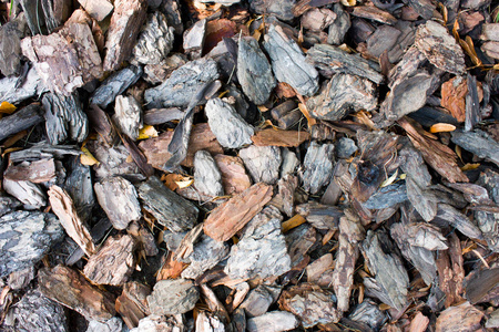 树皮片段木质背景,树皮碎片的背景.照片