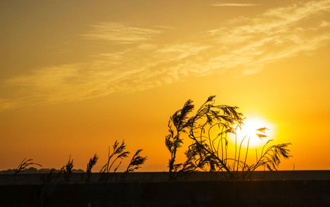 夕阳，不同的夕阳，不同的夕阳，不同的背景