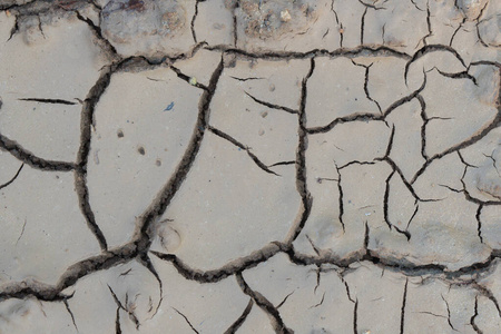 土壤 灾难 气候 黏土 夏天 破裂 纹理 干旱 天气 环境