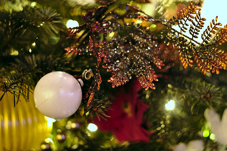 冷杉 十二月 新的 假日 小玩意 松木 礼物 丝带 圣诞节