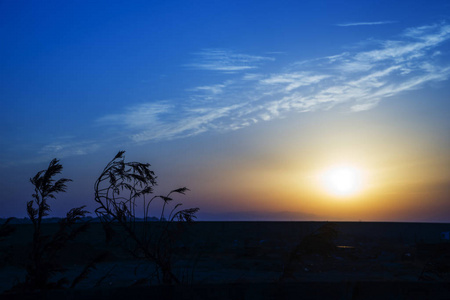 夕阳，不同的夕阳，不同的夕阳，不同的背景