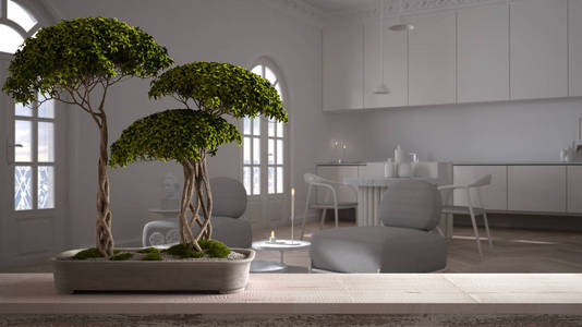 绿色花朵,带厨房的经典客厅,简约的室内设计,禅净的建筑理念照片