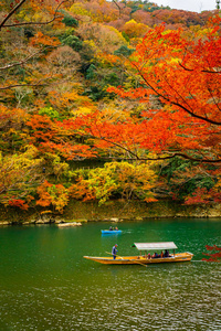 秋日里，船夫在荒山森林风景区沿着Katsura河划船。日本京都。