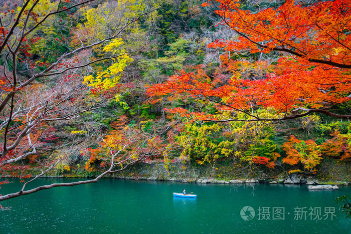 秋日里 船夫在荒山森林风景区沿着katsura河划船 日本京都 照片 正版商用图片27ciio 摄图新视界