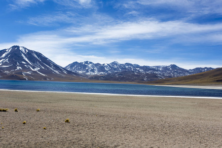 A beautiful view of laguna altiplanica 