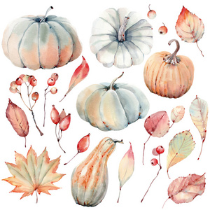 Watercolor pumpkins set. 