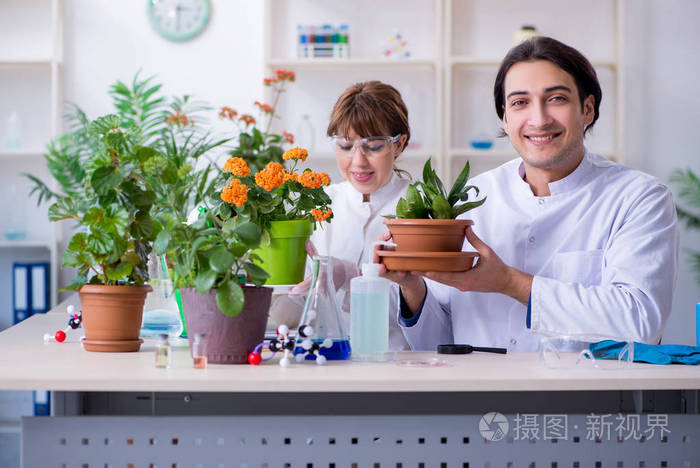 两个在实验室工作的年轻植物学家