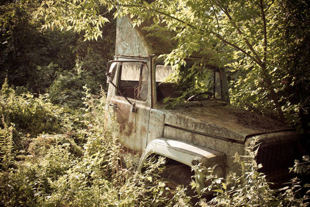 废品 身体 变压器 汽车 不必要的 苏联 古老的 农民 卡车