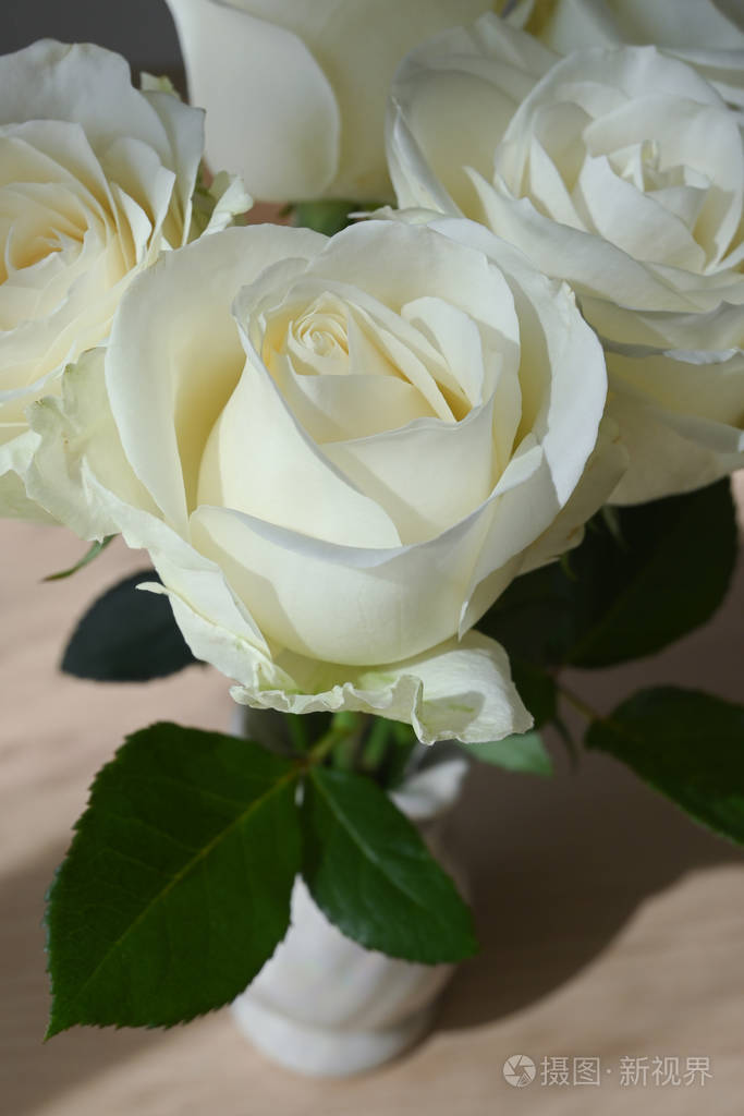 beautifulwhiteroseflowerblossombloomingdecorationinvase