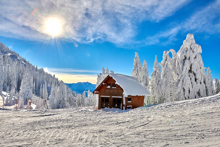 木材 娱乐 放松 欧罗巴 降雪 季节 自然 特兰西瓦尼亚