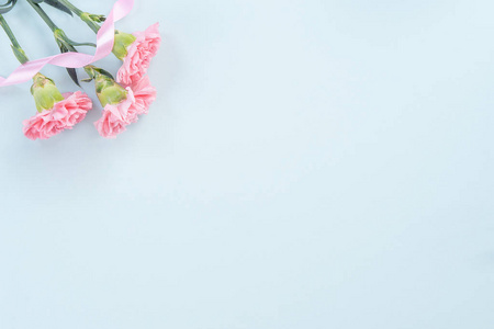 美丽,优雅的粉红色康乃馨花在明亮的浅蓝色桌子背景上,母亲节送花的