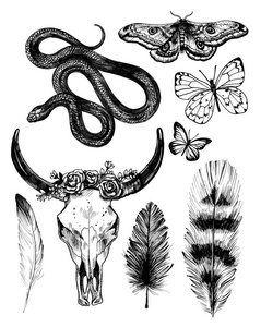 Boho set. Skull of a cow, feathers, butterflies, moth. 